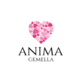 anima gemella